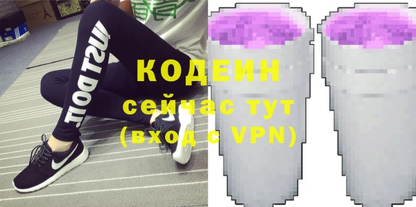 дмт Инсар