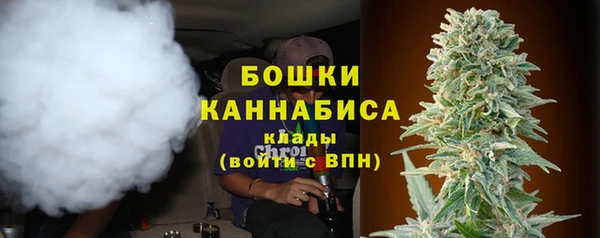 дурь Инта