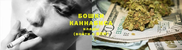 дмт Инсар