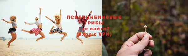 дмт Инсар