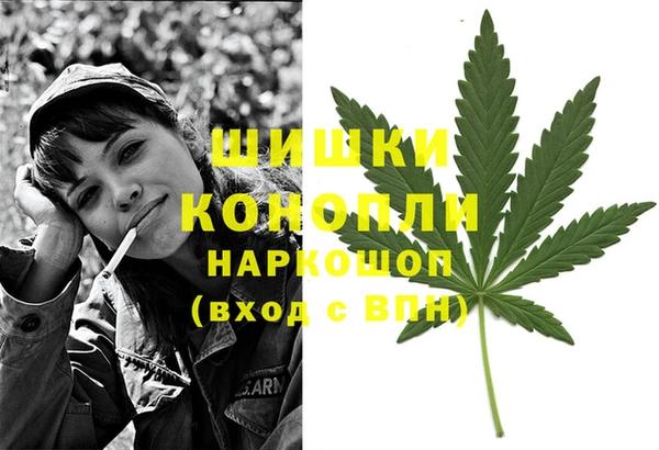 дурь Инта