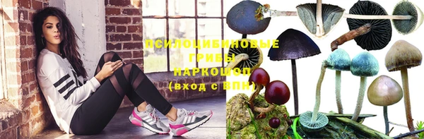 дмт Инсар