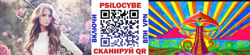 Псилоцибиновые грибы Psilocybine cubensis  Кимовск 